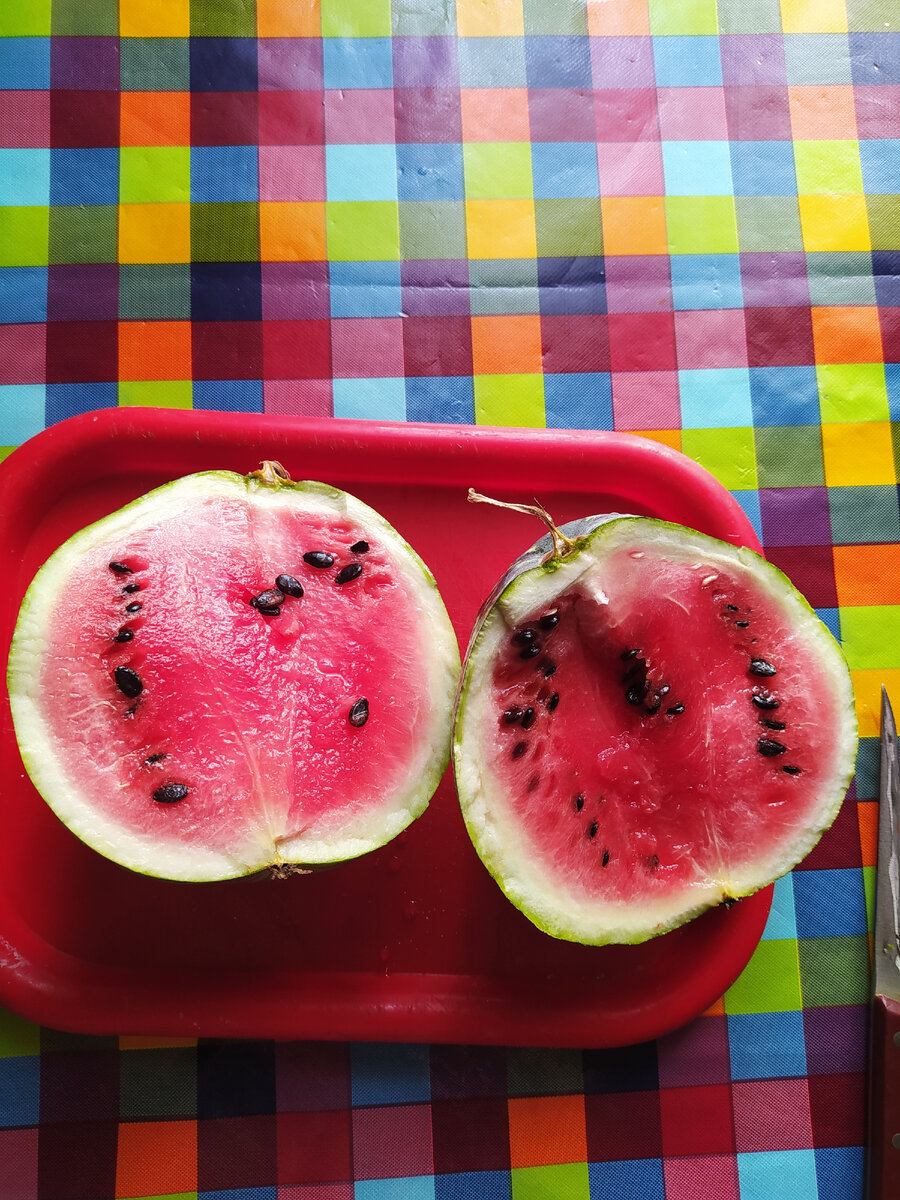 Он же в разрезе.