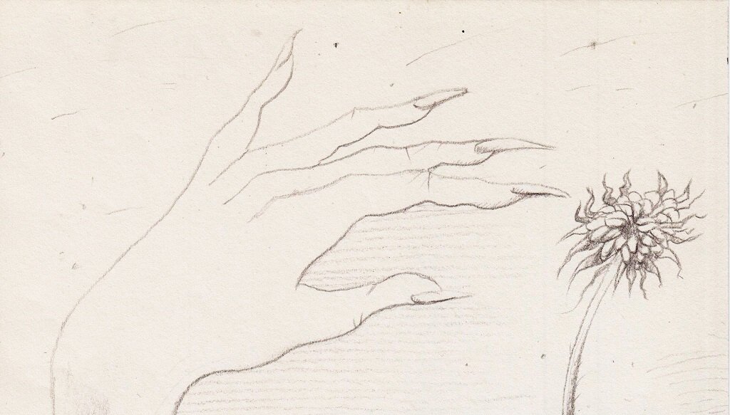 Иллюстрация Петра Перевезенцева