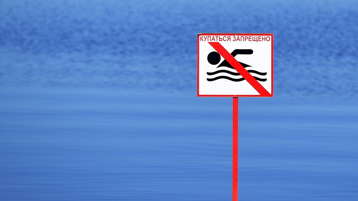    Табличка о запрете купания© РИА Новости . Максим Богодвид