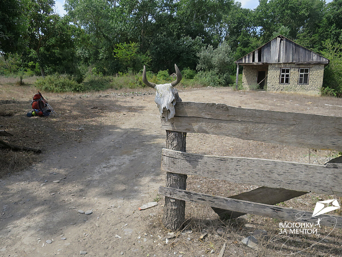 / листаем фото