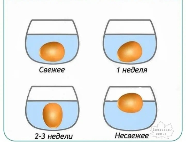 Это поможет вам определить свежесть яйца
