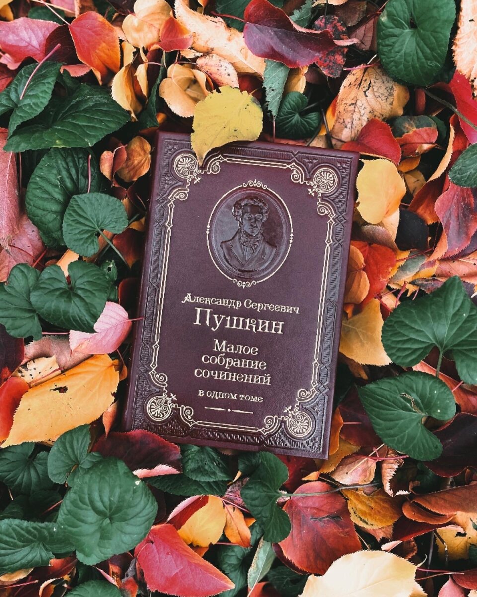 все предрассудки истребя мы почитаем