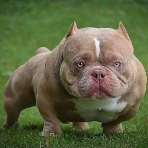 /фото facebook
/фото facebook
/фото facebook
/фото facebook
/фото facebook
