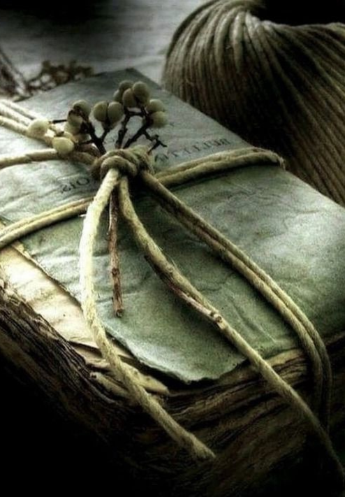 Изображение из интернета