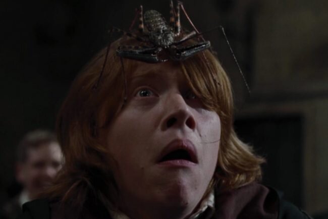 кадр из фильма «Гарри Поттер и Кубок Огня» (Harry Potter and the Goblet of Fire), 2005/Warner Bros. Pictures/Heyday Films/Patalex IV Productions Limited