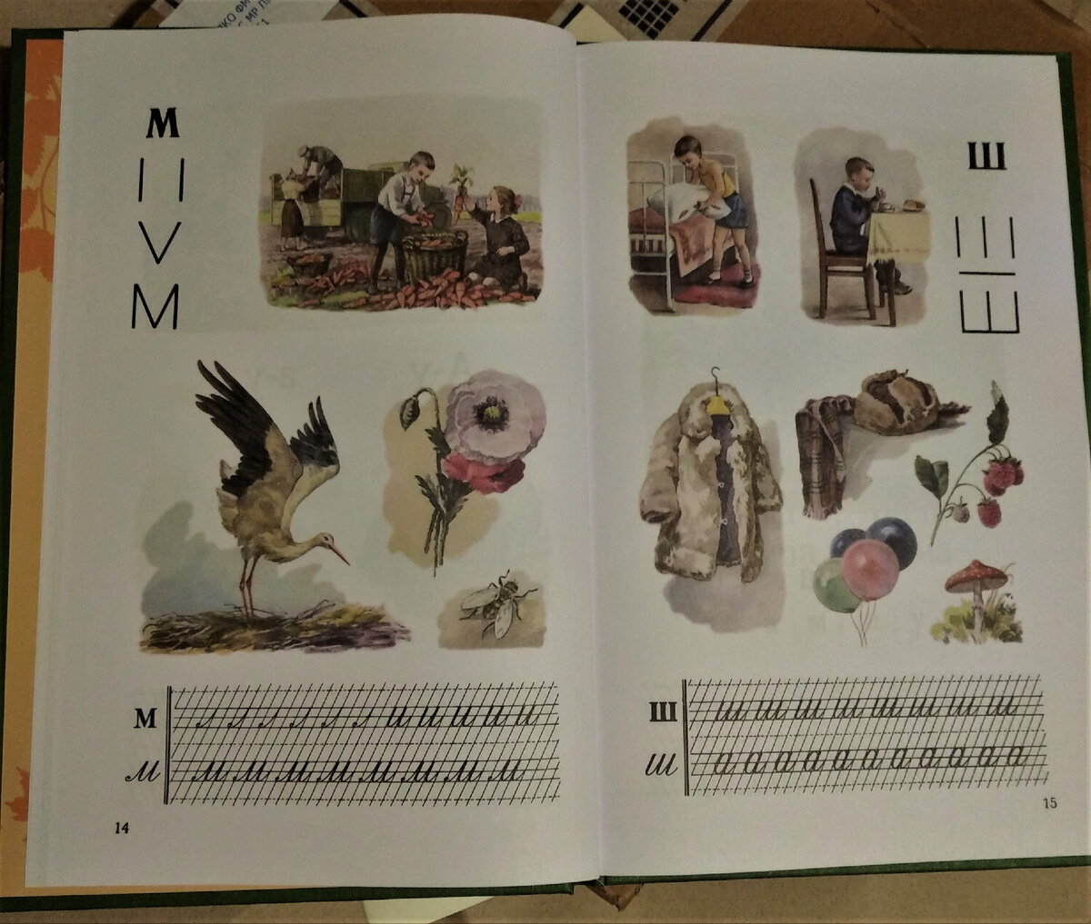 Букварь 21 век. Сталинский букварь. Гербарий букварь. Букварь разворот. Школа сталинского букваря в Москве.
