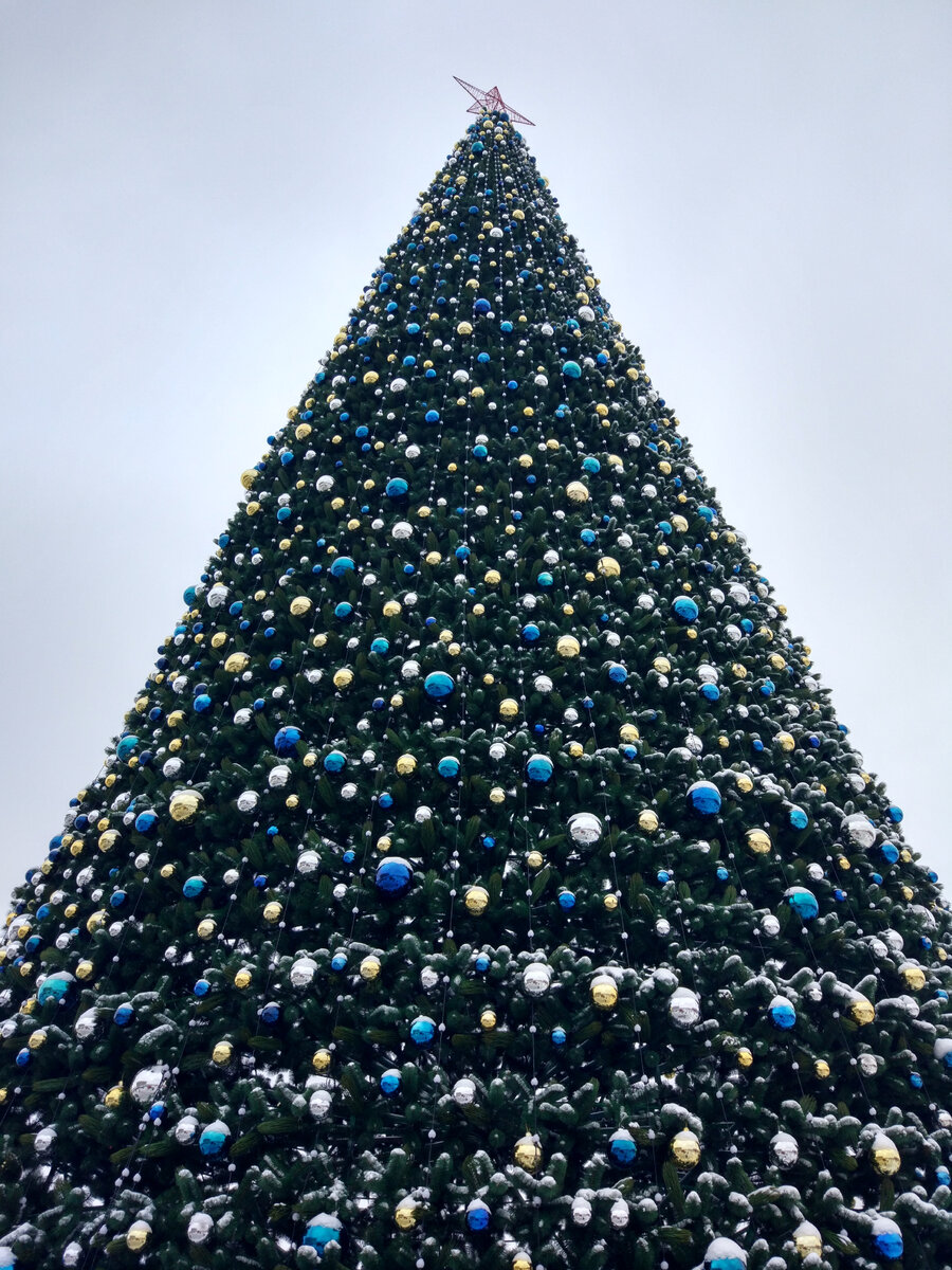 Елка из столицы одного из прошлых новых годов - фото моё)