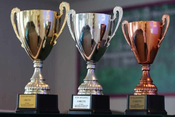    Фото: комитет лесного хозяйства Московской области