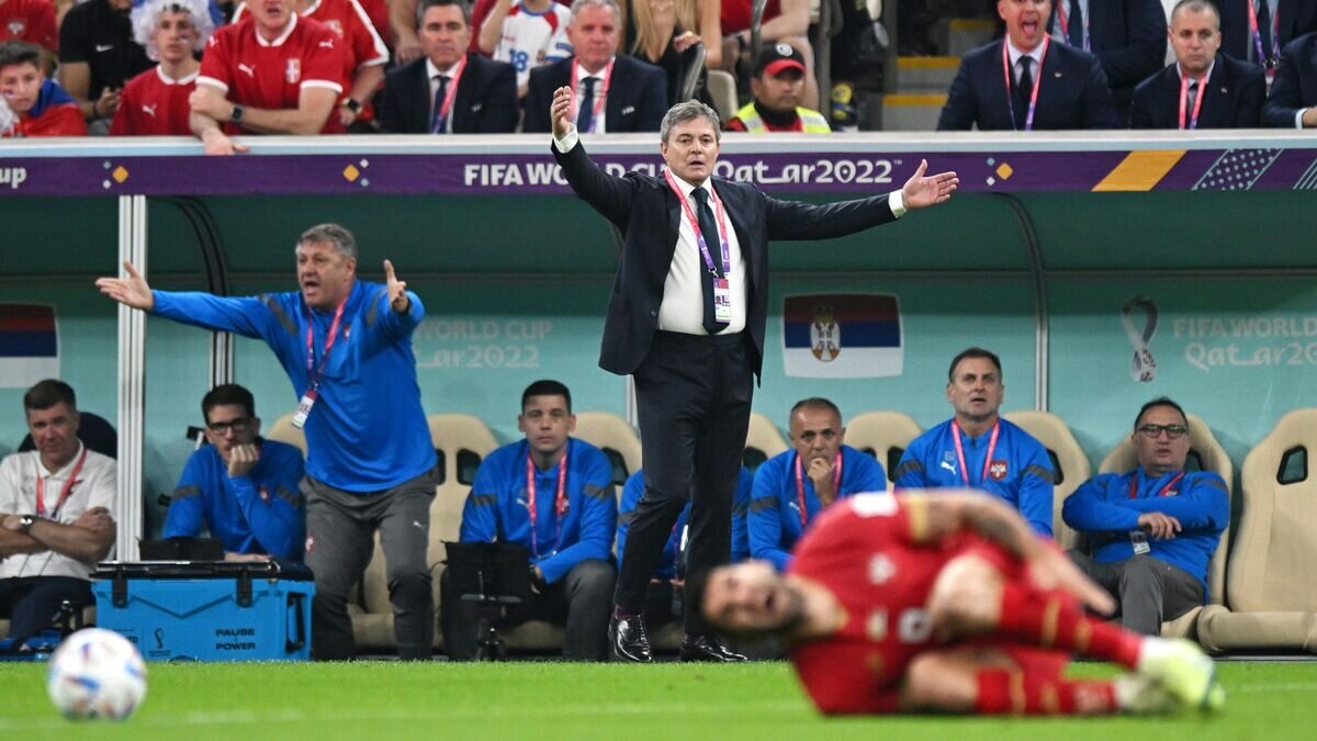    Главный тренер сборной Сербии по футболу Драган Стойкович© РИА Новости / Григорий Сысоев