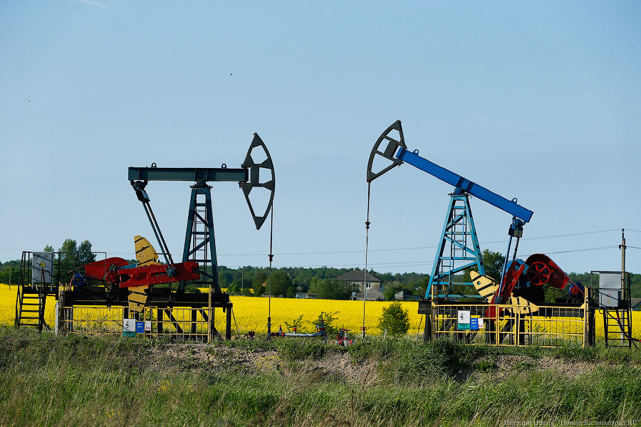 Фото: Виталий Невар / Новый Калининград