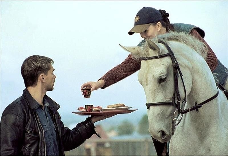 Лошадь пьет чай. 10 Рюмок на посошок. Обычай пить на коня. На коня, на дорожку на посошок.