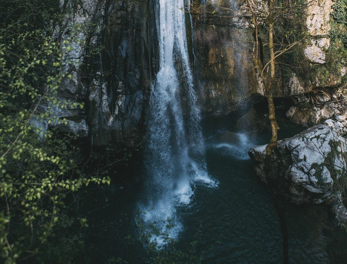 Фото: @igorcibulsky, instagram.com*