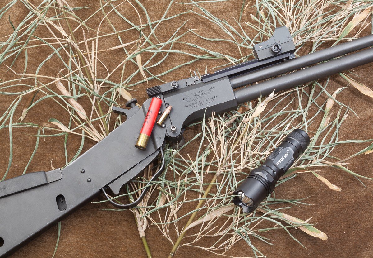 Springfield Armory M6 Scout с коллиматором(c)тянуто в сети