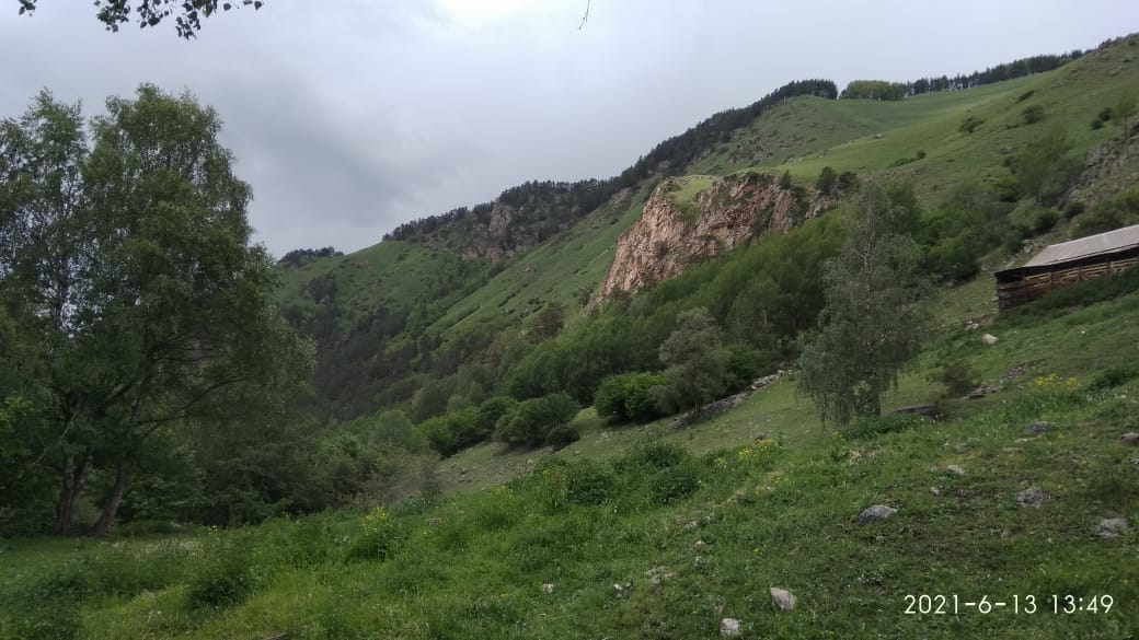 По дороге