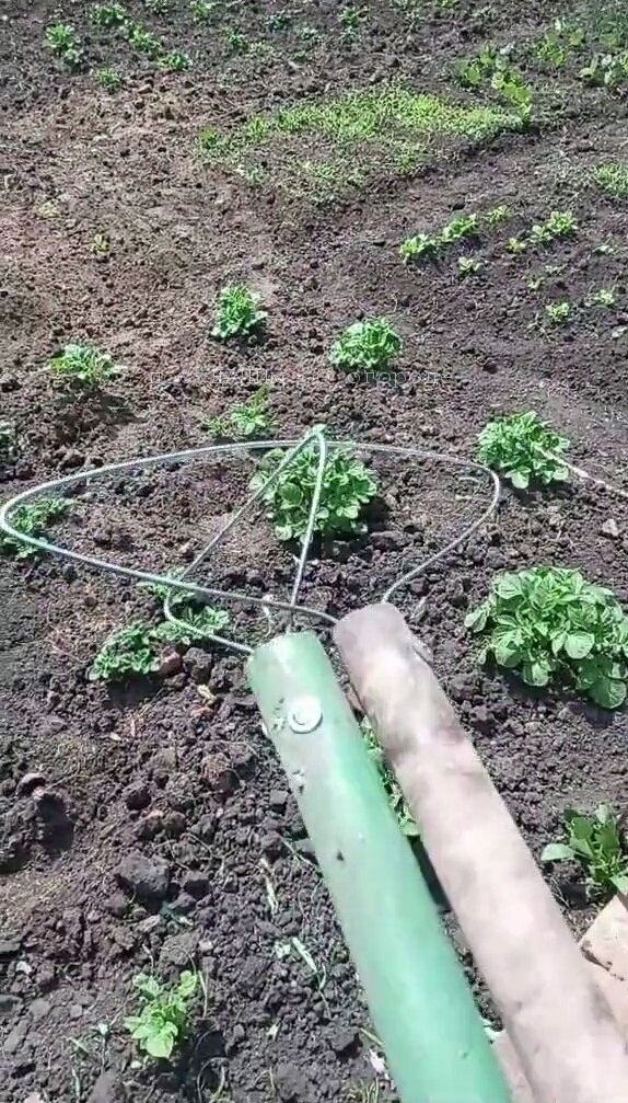 Новый инструмент, который "взорвал" Интернет