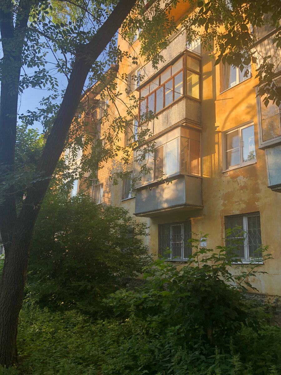 Заросли крапивы и репейника