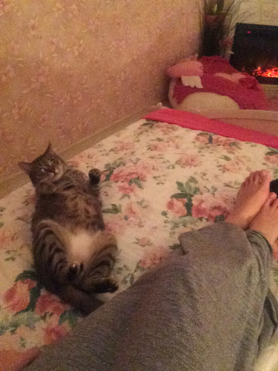 Вива со мной читает 