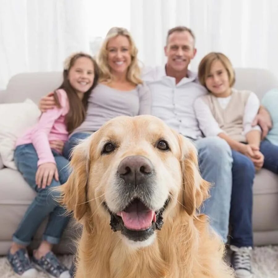 📌Все права на представленные в статье фотографии, принадлежит только их владельцам. Все фотографии взяты из открытых источников📌.