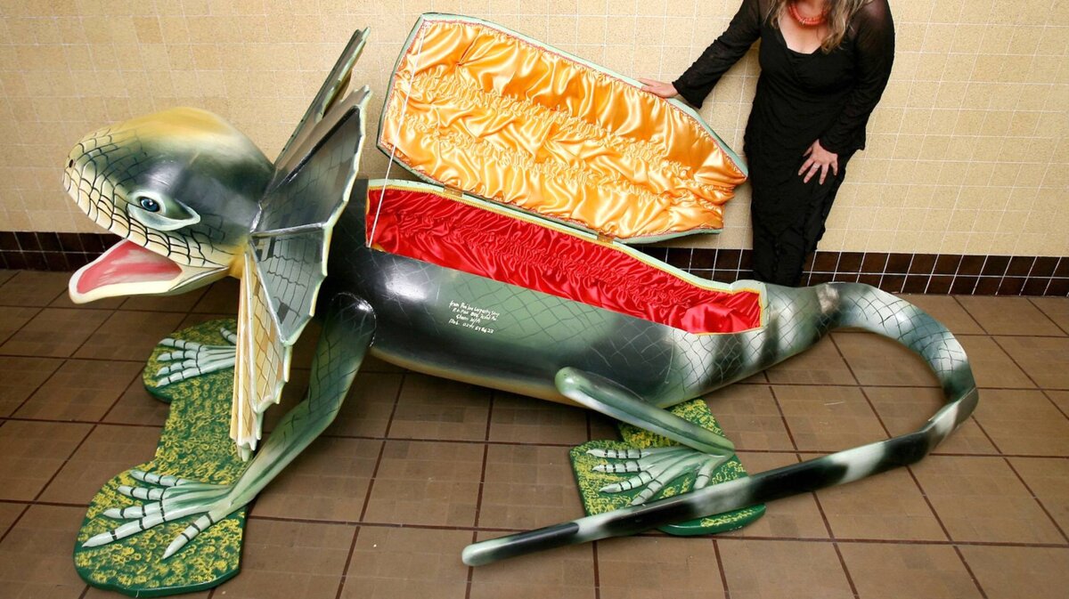 фото взято с открытого источника интернет