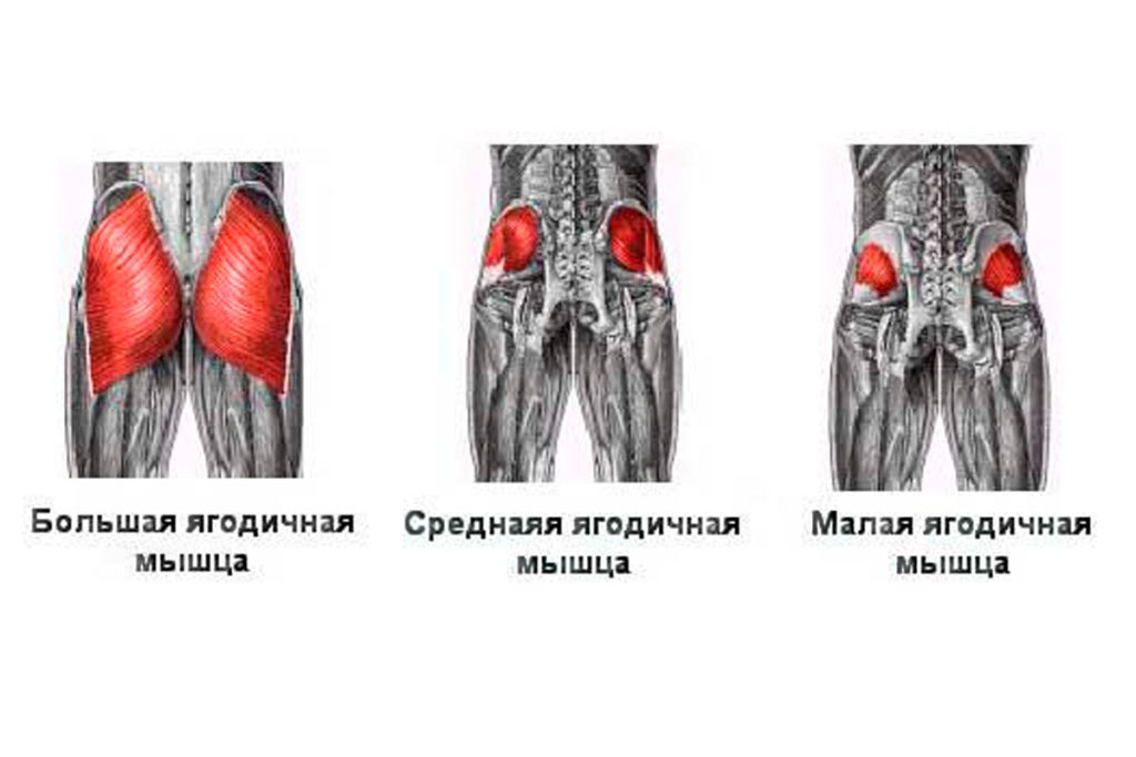 Лишиться попы