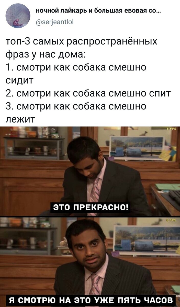 Сколько раз пересмотрел да. Какой раз пересматриваешь. Зачем стулья ломать чапаев картинка. Какой раз пересматриваешь. Почему? много раз.