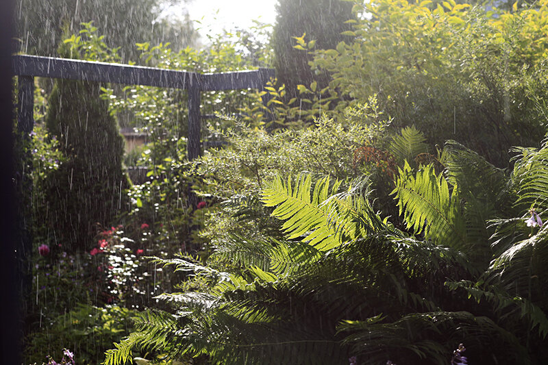 Это было прошлым летом, но всегда есть шанс и на середину января...