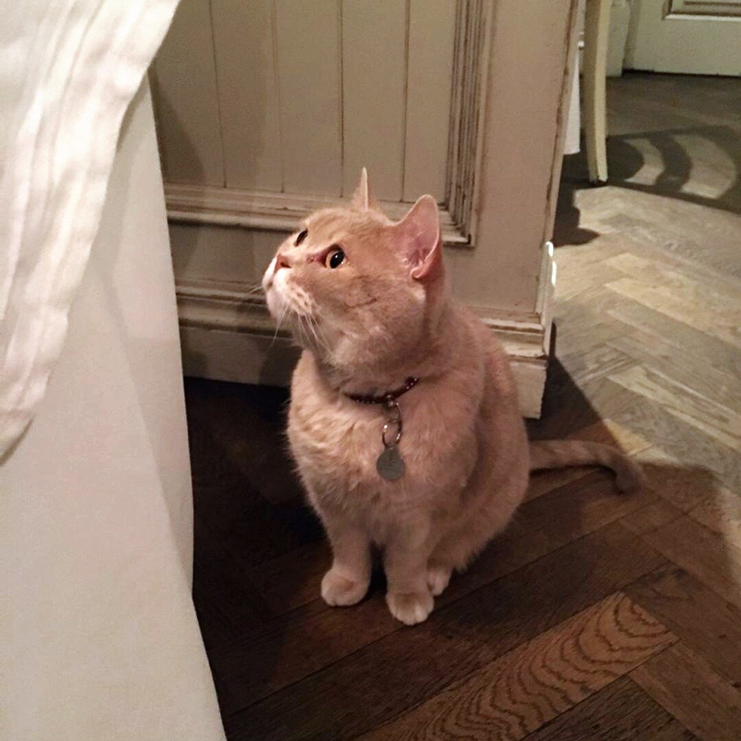 Фото со страницы ресторана МариVanna в сети фейсбук