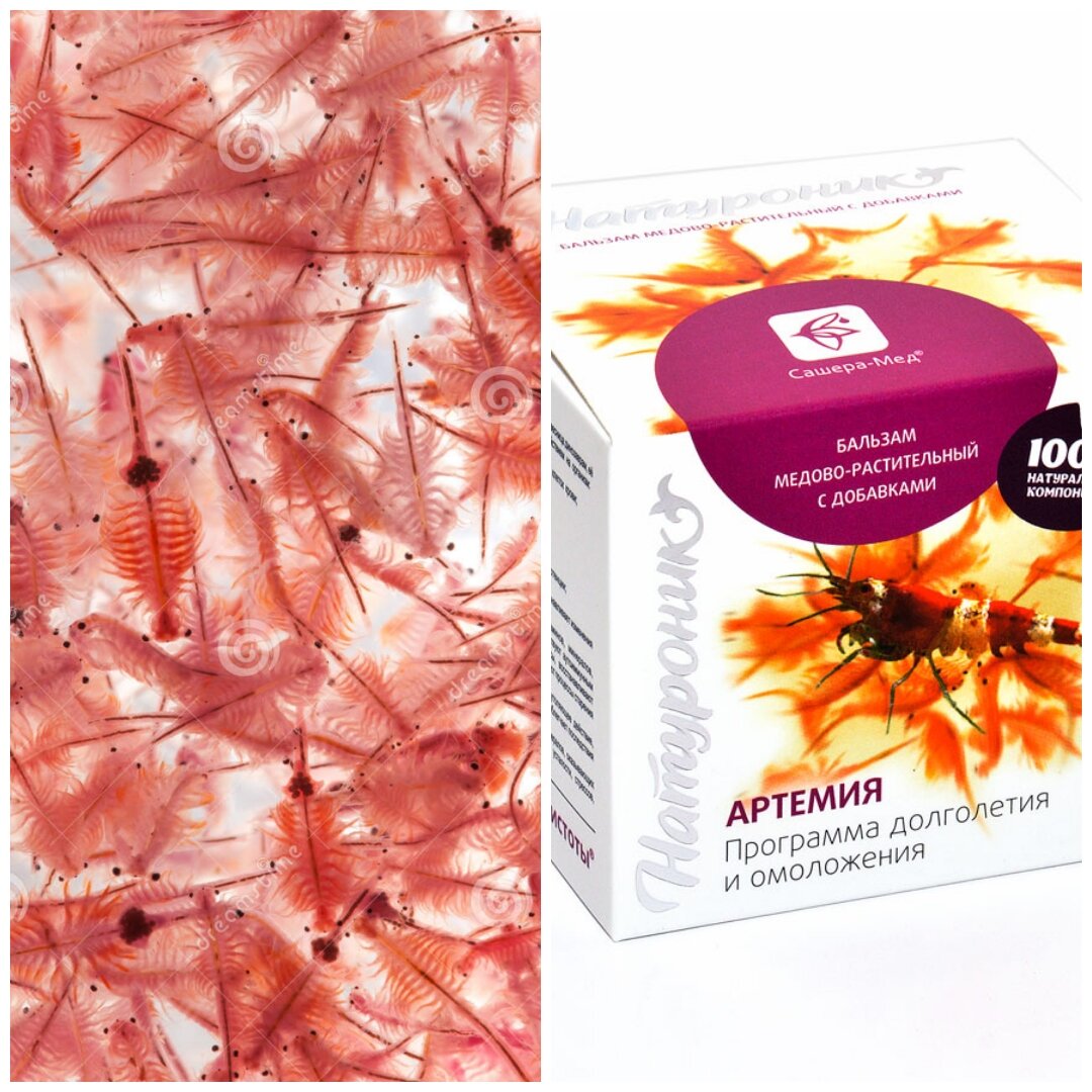 Артемия Салина