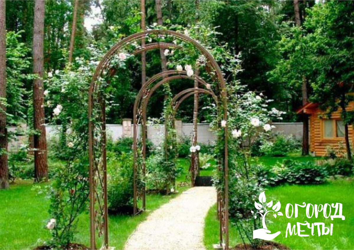 Как самому сделать «живую» арку в саду: выбор цветов и других растений, формирование и уход