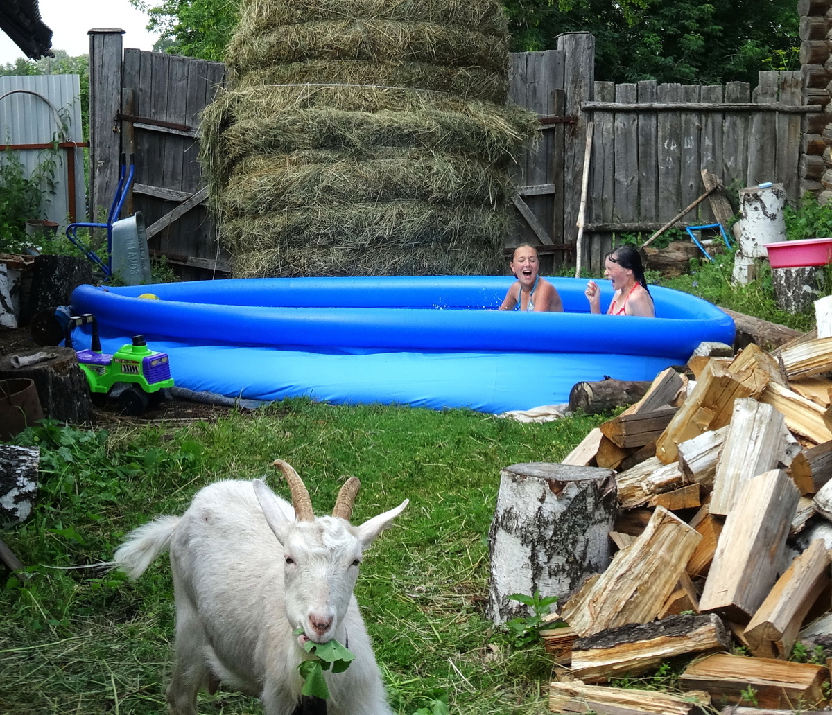 кадр обычного, деревенского лета , где активный отдых перемежается помощью по хозяйству. Фото автора