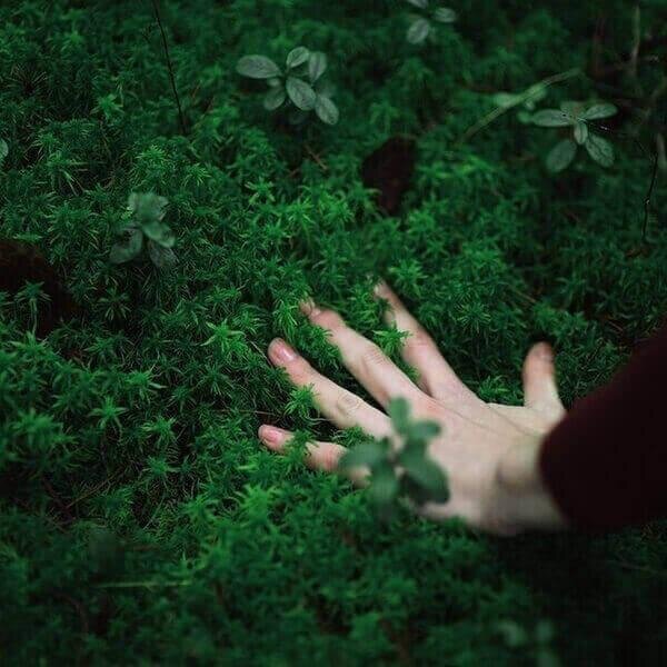 Изображение взято из открытых источников.