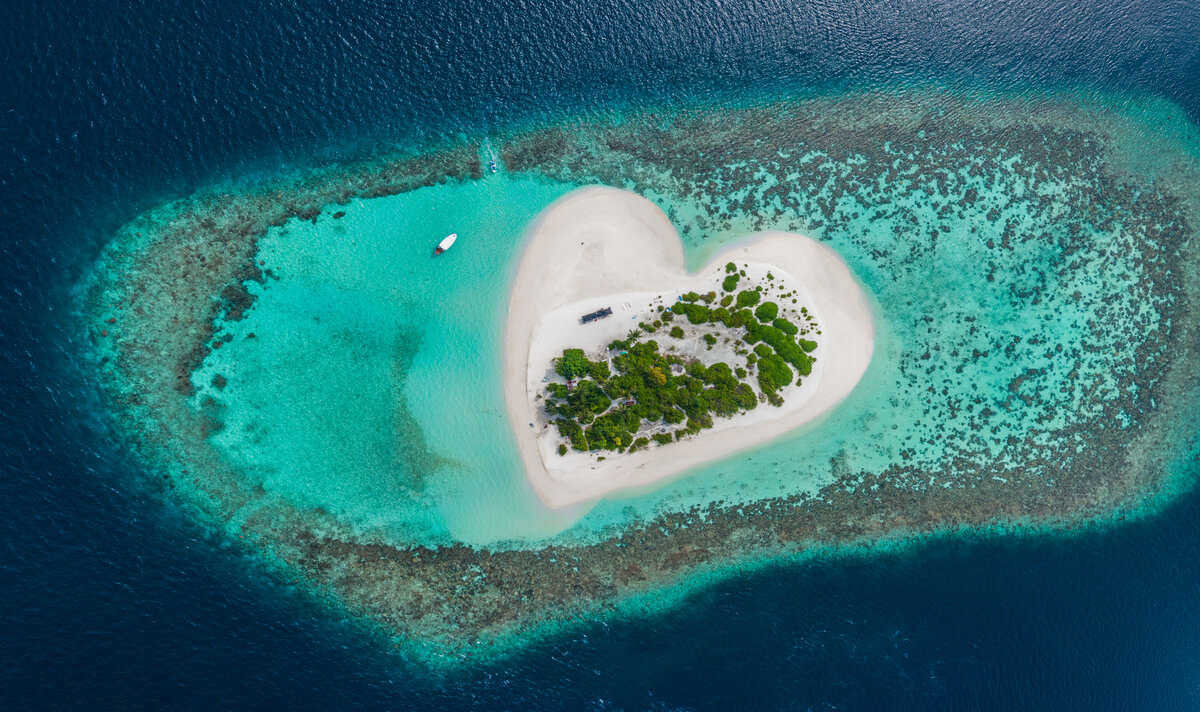 Фото: Shutterstock