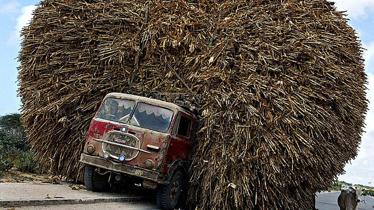 А, ну-ка, отыщи!