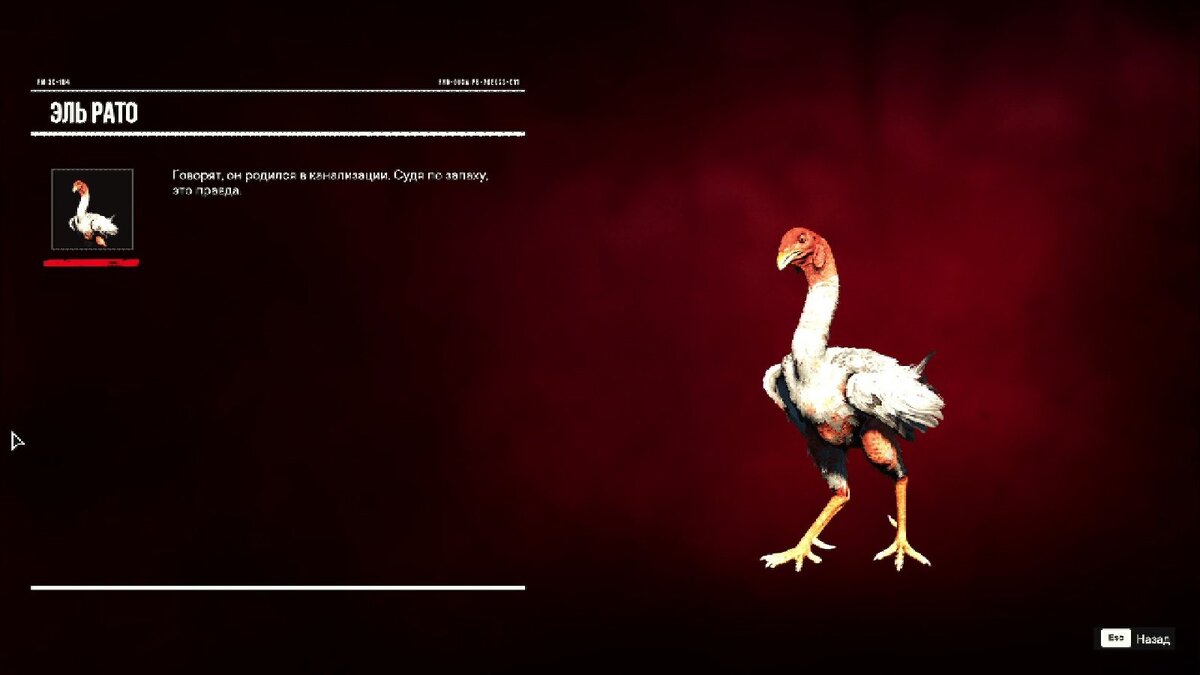 фар край петух