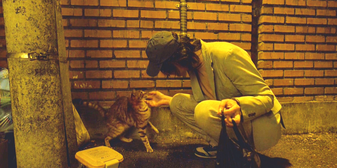 Загадочные роли котиков в сериалах 2021