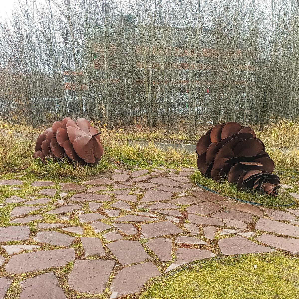 Огромные шишки из металла. Фото автора