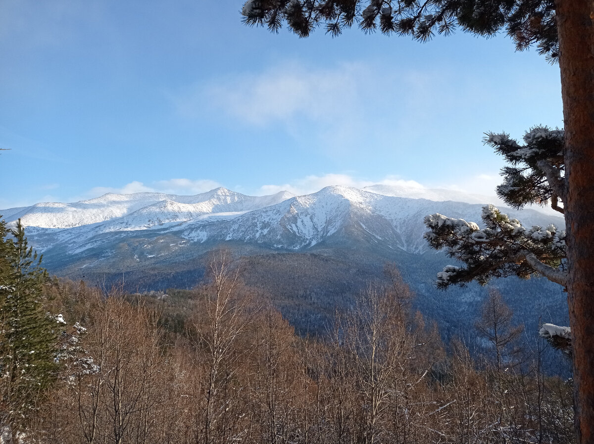 Борус Ольга Александровна