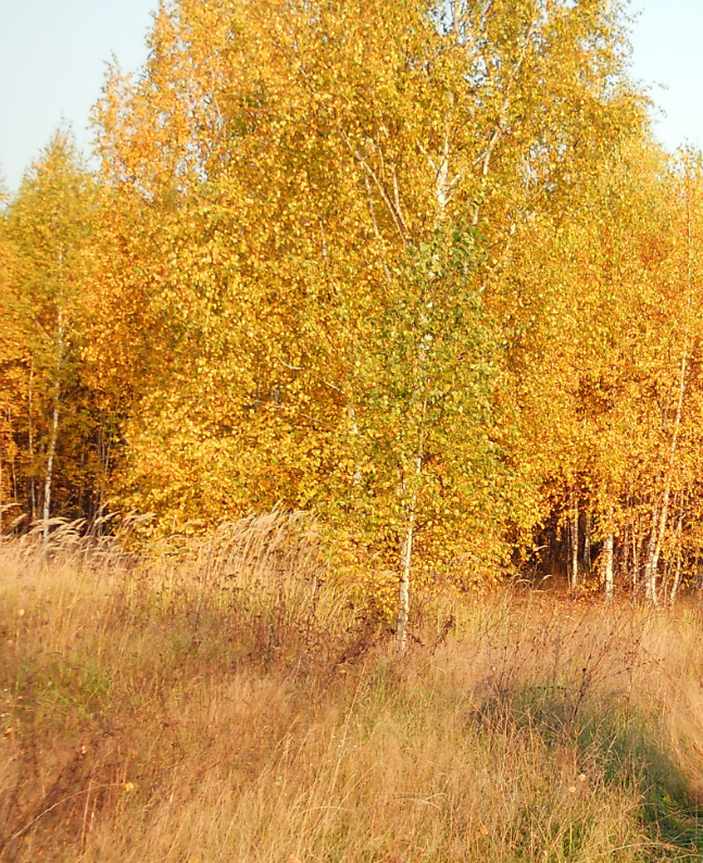 Фото из семейного архива автора