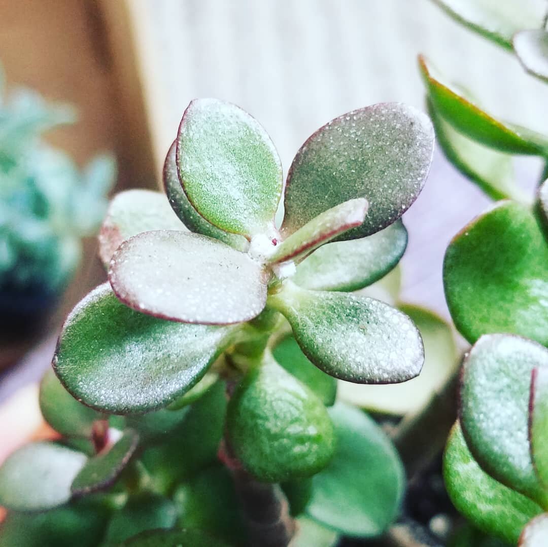 @le.amour.de.soi