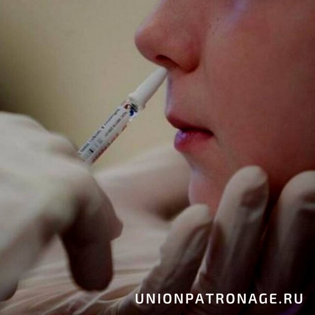 Фото взято из открытых источников 