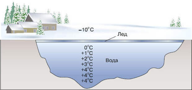 Почему водоемы не промерзают до дна 3