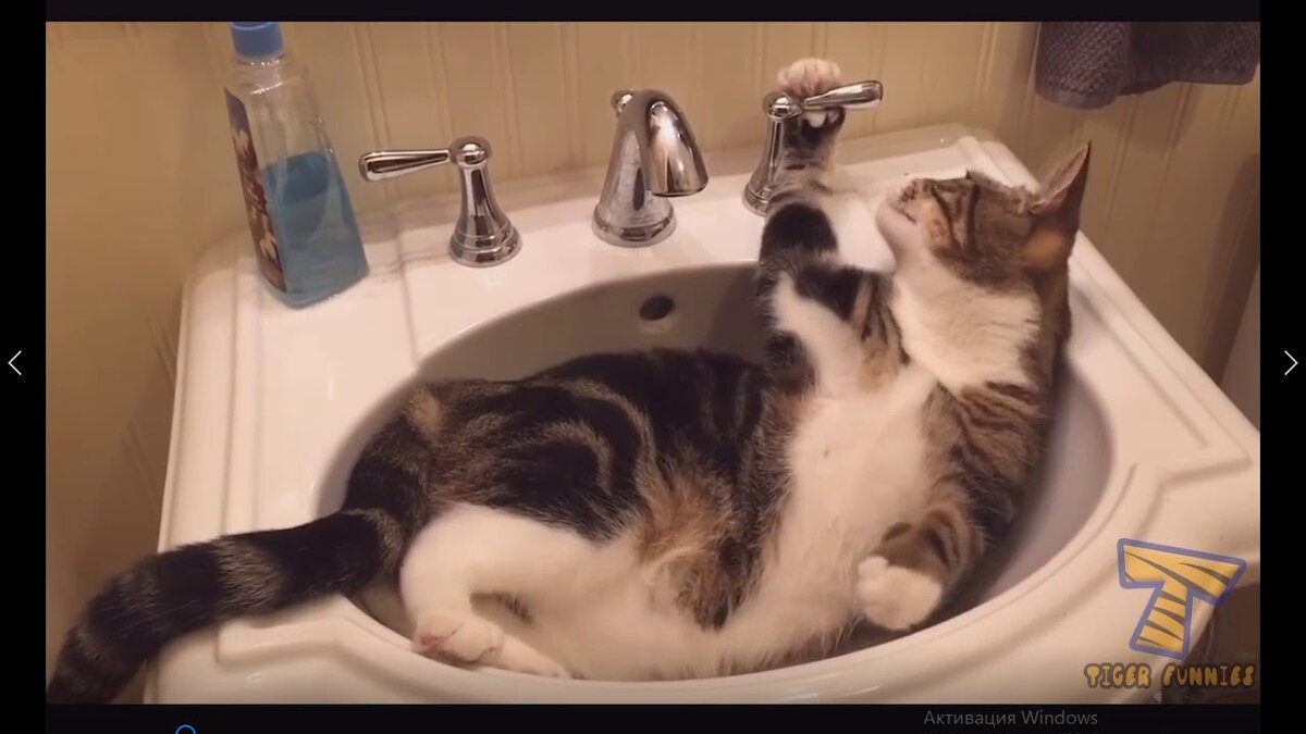 фото из открытых источников Яндекса