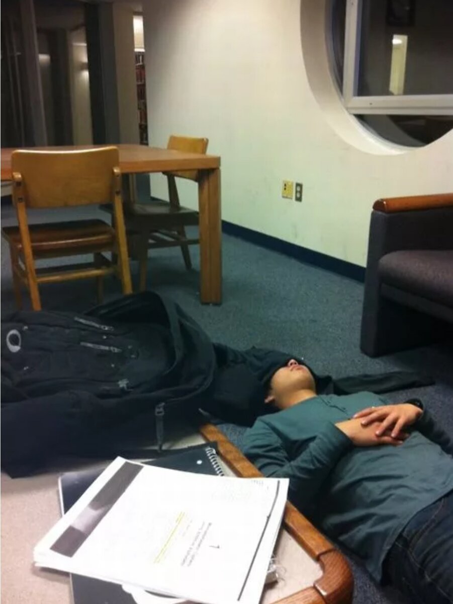 Фото яндекс-картинки 