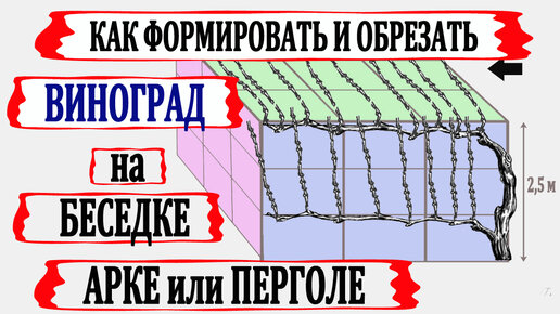 Шпалера для винограда своими руками на даче