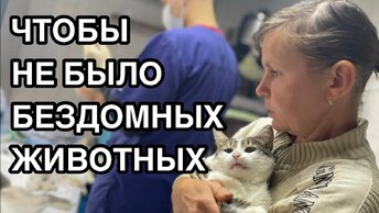 Спасение животных/ Стерилизация собак и кошек в приюте для животных - Хвостатое счастье