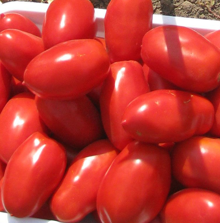 Открытый источник