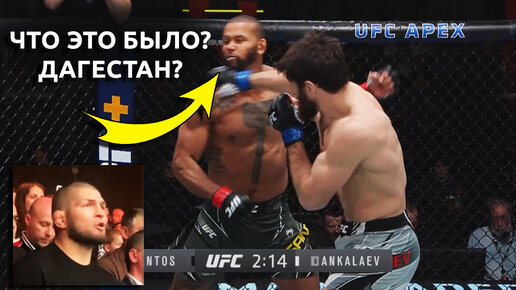 Полный Обзор Боя UFC - Анкалаев vs Сантос. Бой Магомеда Анкалаева. Новости ММА. Реакция Хабиба.