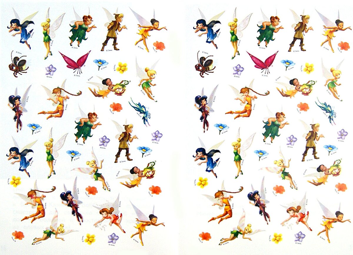 Изображение взято из открытого источника