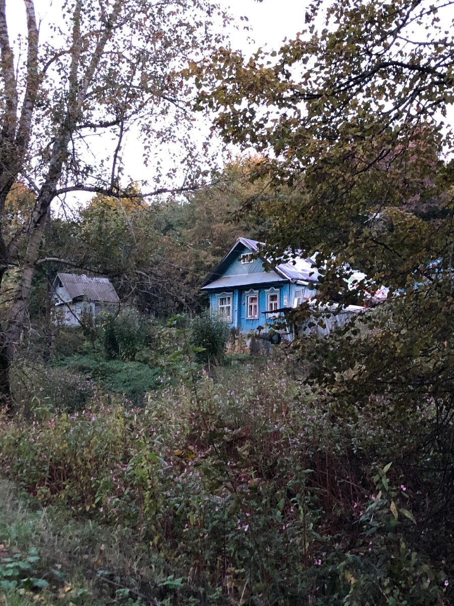 Васильсурск 