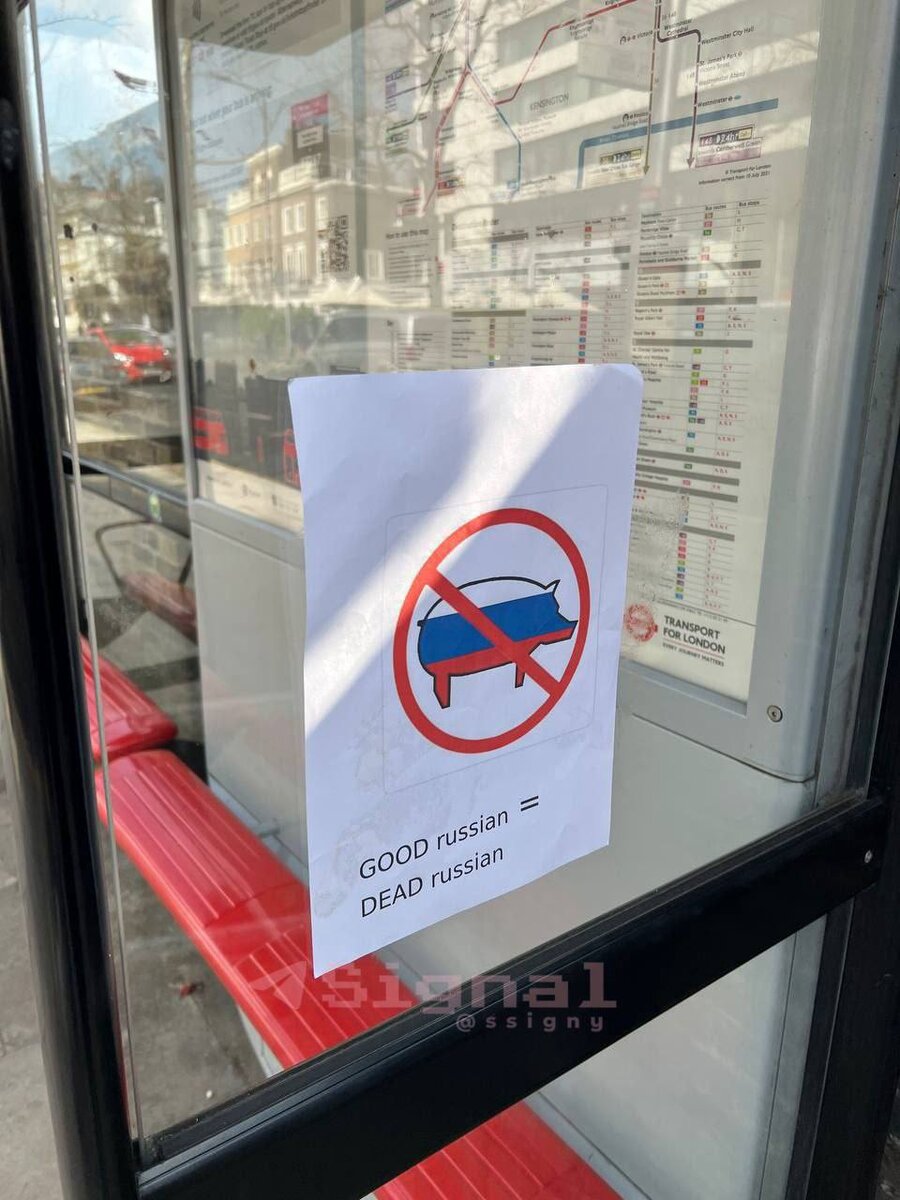 Фото:из интернета.